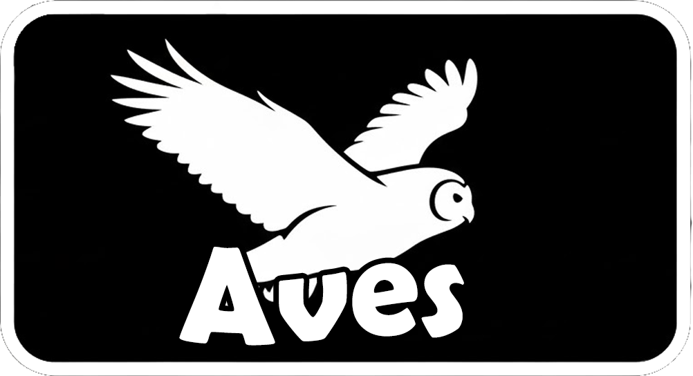 Icono navegacion aves