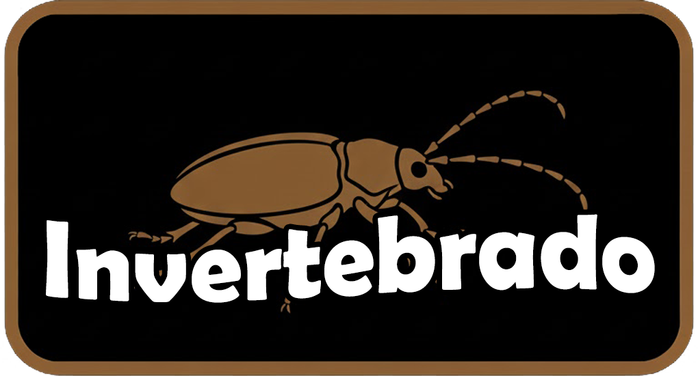 Icono navegacion invertebrados