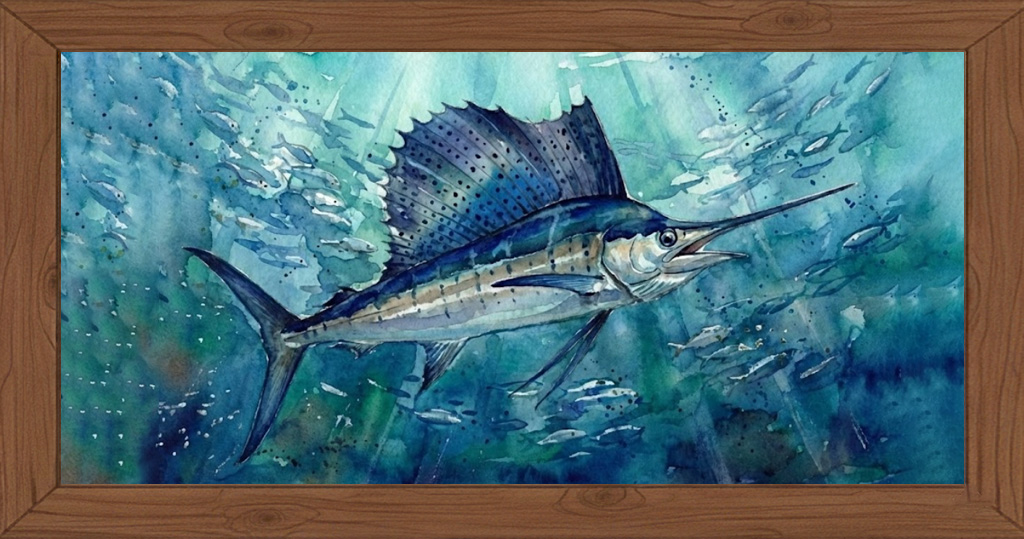 Dibujo de la especie pez vela