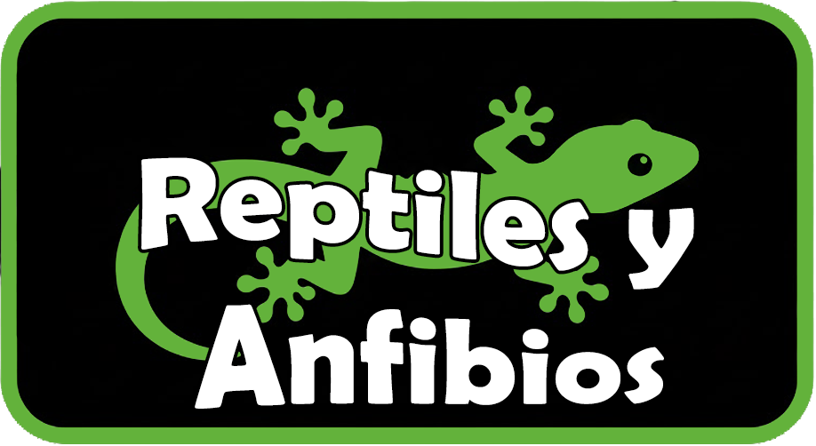 Icono navegacion reptiles y anfibios